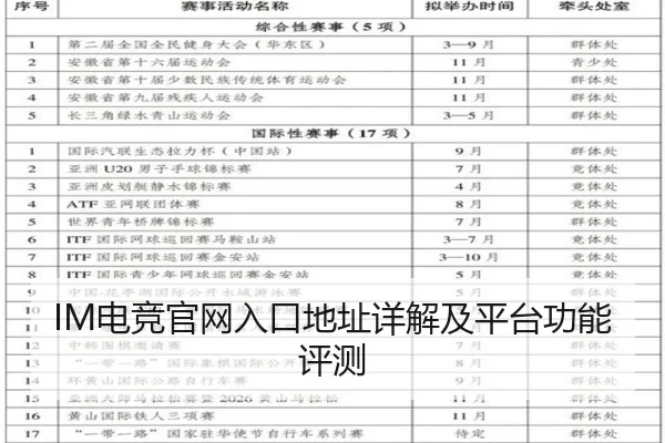 IM电竞官网入口地址详解及平台功能评测