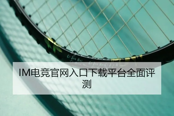 IM电竞官网入口下载平台全面评测