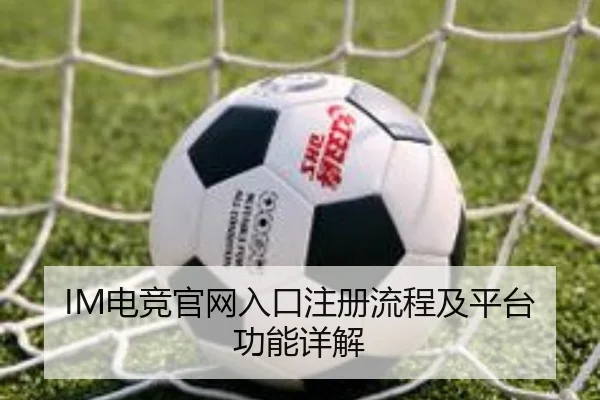 IM电竞官网入口注册流程及平台功能详解