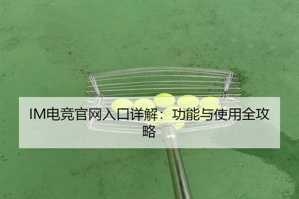 IM电竞官网入口详解：功能与使用全攻略