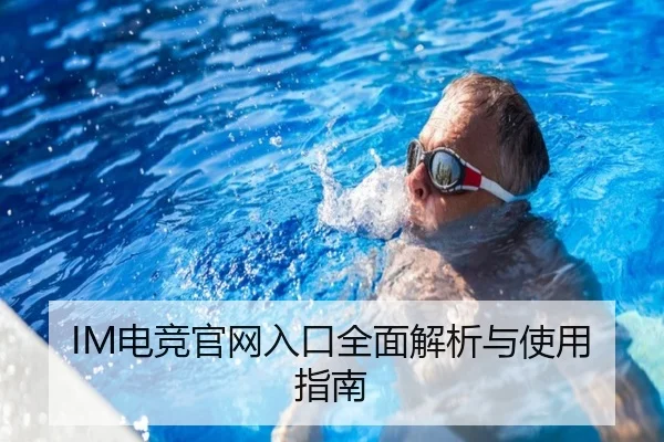 IM电竞官网入口全面解析与使用指南