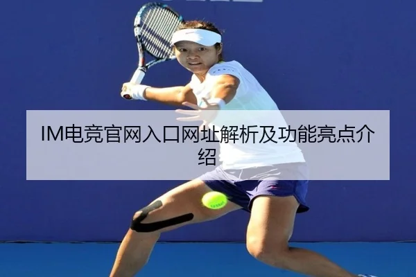 IM电竞官网入口网址解析及功能亮点介绍