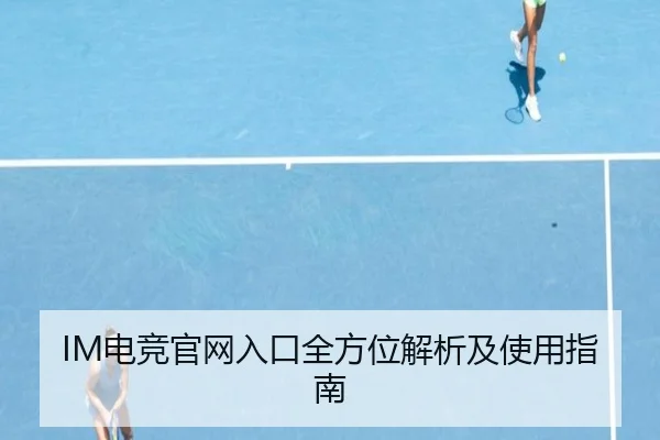 IM电竞官网入口全方位解析及使用指南