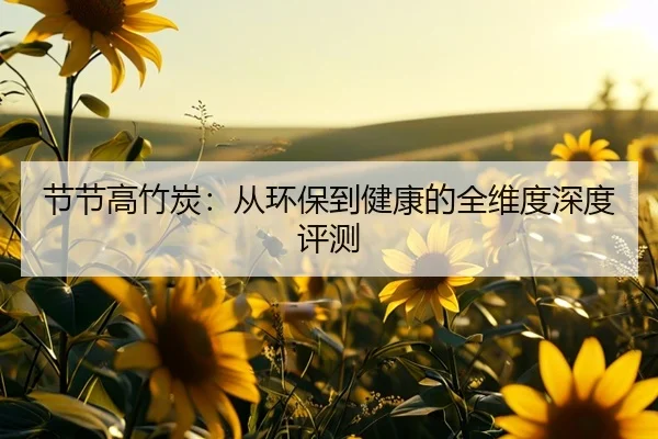 节节高竹炭：从环保到健康的全维度深度评测